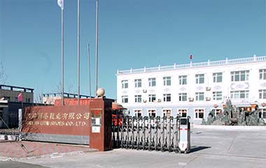 麗泰