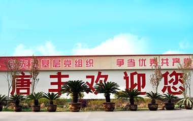 唐豐 唐豐