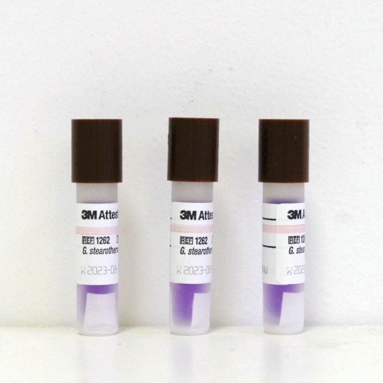 3M1262壓力蒸汽滅菌生物培養(yǎng)指示劑圖片2