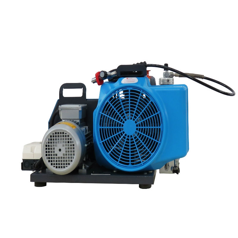 梅思安10181242空氣壓縮機MSA100TW單相電機充氣泵圖片1