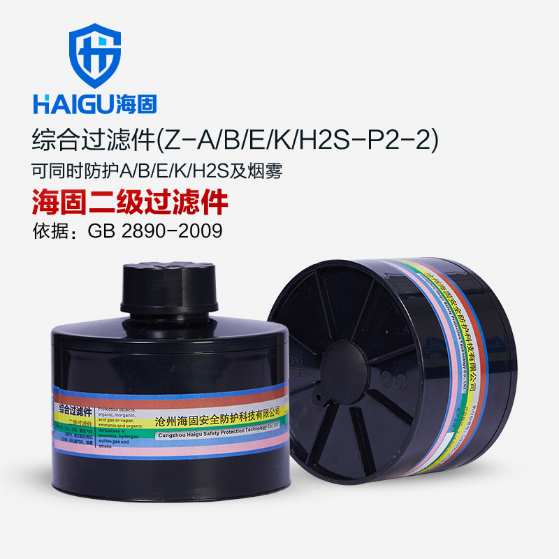 海固Z-A/B/E/K/H2S-P2-2二級綜合濾毒罐
