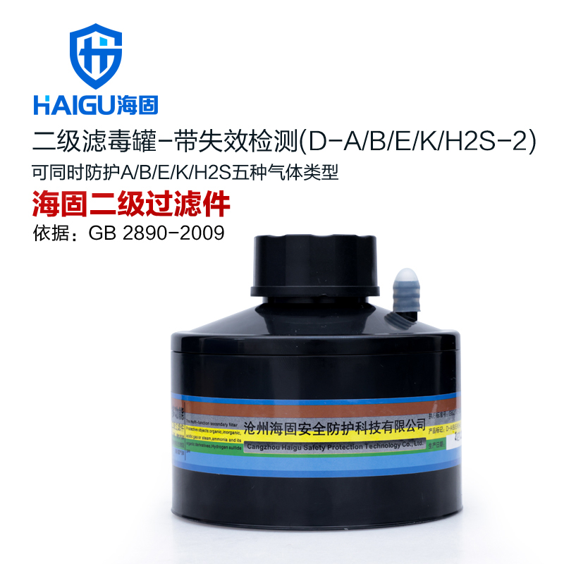海固D-A/B/E/K/H2S-2多功能二級(jí)帶失效檢測(cè)濾毒罐