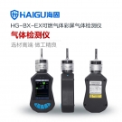 海固HG-BX-EX可燃?xì)怏w泵吸式氣體檢測儀