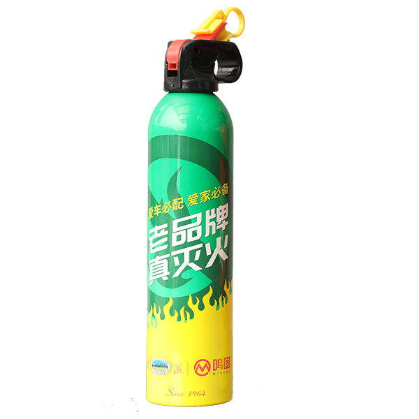 淮海MFJ600鋁罐簡(jiǎn)易式干粉滅火器圖片