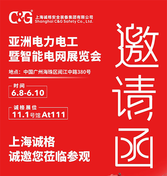 上海誠格參展2023亞洲電力電工暨智能電網展圖片3