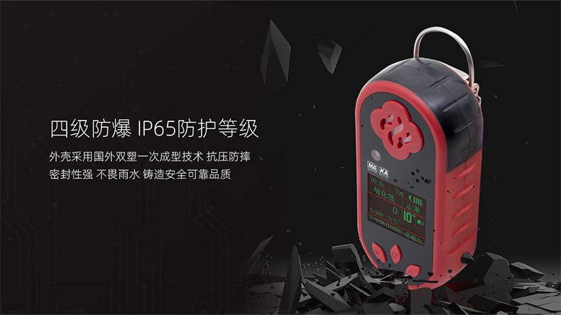 保時(shí)安CLH100硫化氫測(cè)定器3.jpg